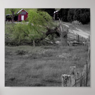 Poster La vie après une catastrophe