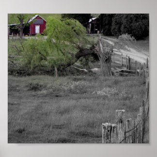 Poster La vie après une catastrophe