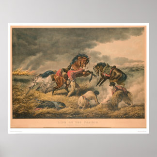 Poster La vie dans les Prairies : défense de Trapper (087