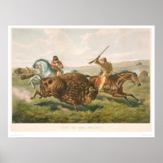 Poster La vie dans les Prairies : La chasse au bison (087