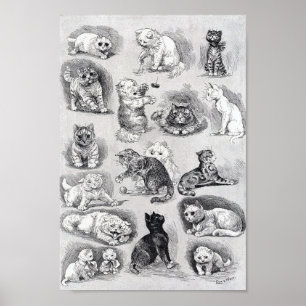 Poster La vie de chaton au spectacle félin, Louis Wain