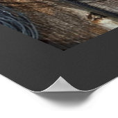 Poster La vie des cowboys (Coin)