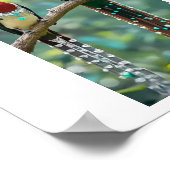 Poster La vie des oiseaux profiter de l'impression, de la (Coin)