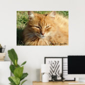 Poster La vie du chat - Amarillo Dormir (Bureau à domicile)