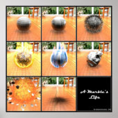 Poster La vie du marbre (Devant)