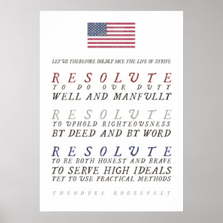 Poster La vie dure de Theodore Roosevelt
