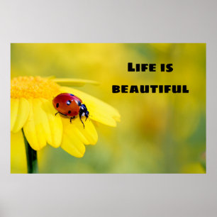Poster La vie est belle - Ladybug