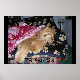 Poster La vie facile