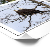 Poster La vie familiale de l'aigle (Coin)