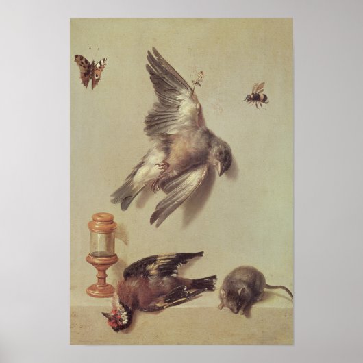 Poster La vie morte des oiseaux morts et une souris, 1712 (Devant)