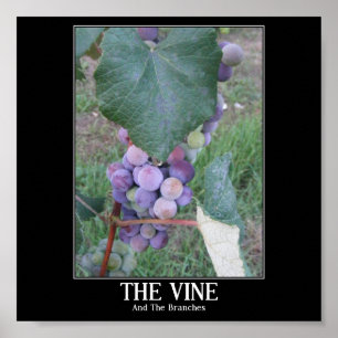 Poster La Vigne
