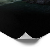 Poster La Vignette du Dragon (Coin)