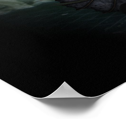 Poster La Vignette du Dragon (Coin)