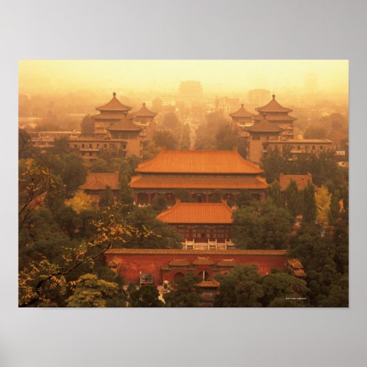 Poster La ville interdite (Devant)