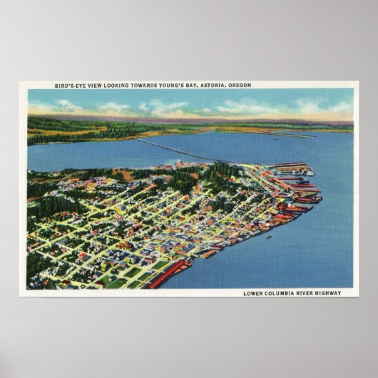 Poster La ville vers Young's Bay (Devant)