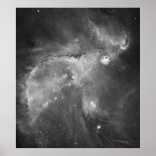 Poster La vue noire et blanche de Hubble de l'univers