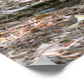 Poster La wallaby à col rouge et ses jolies vacances (Coin)