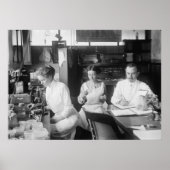 Poster Lab Rats, 1912 (Devant)