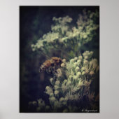 Poster L'abeille (Devant)