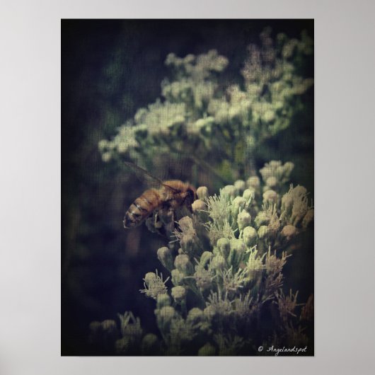 Poster L'abeille (Devant)