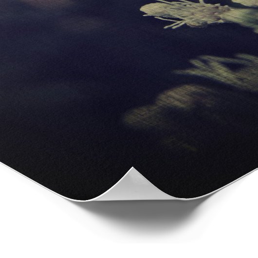 Poster L'abeille (Coin)