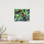 Poster L'abeille à la fleur rouge (Cuisine)