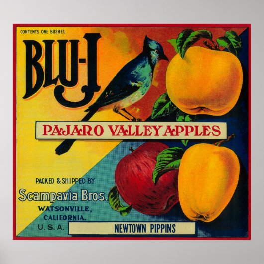 Poster Label Blu-J Apple Crate Watsonville, CA (Devant)