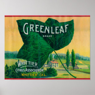 Poster Label de citron vertWhittier, CA