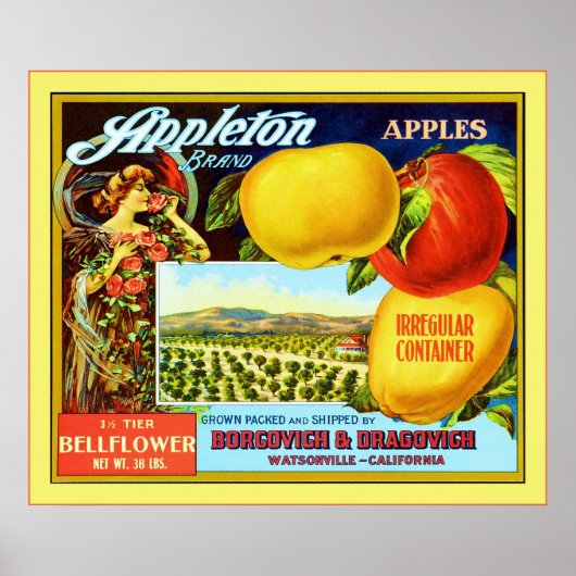 Poster Lable vintage Fruit (Devant)
