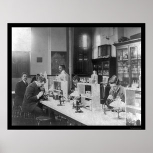 Poster Laboratoire de la bactériologie chez Howard