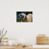 Poster Laboratoire jaune avec jouet (Cuisine)