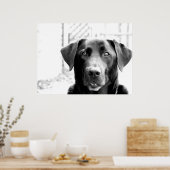 Poster Laboratoire noir (Cuisine)