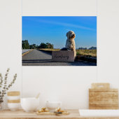 Poster Labradoodle (Cuisine)