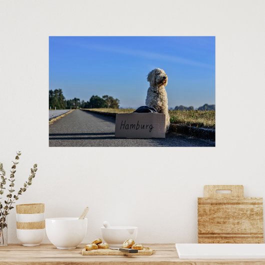 Poster Labradoodle (Cuisine)