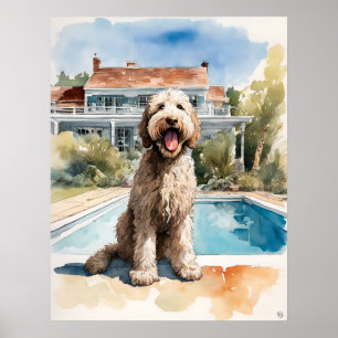 Poster Labradoodle - Art Chien Imprimer