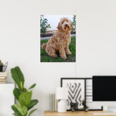 Poster Labradoodle Chien chiot (Bureau à domicile)
