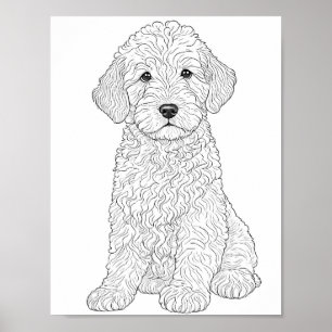 Poster Labradoodle Colorage adulte