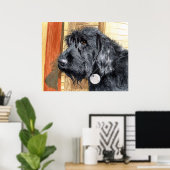 Poster Labradoodle noir #1 Imprimer (Bureau à domicile)