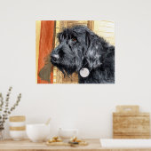 Poster Labradoodle noir #1 Imprimer (Cuisine)