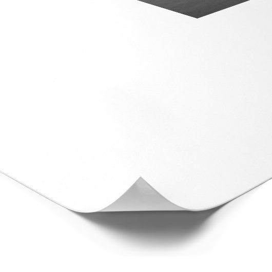 Poster Labrador (Coin)