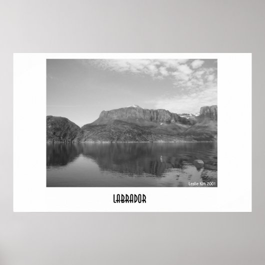 Poster Labrador (Devant)