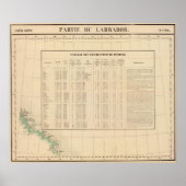 Poster Labrador 29 (Devant)