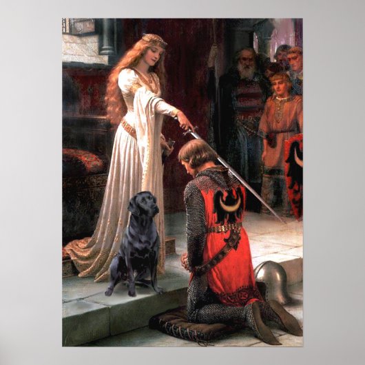 Poster Labrador 4 (noir) - L'Accolade (Devant)