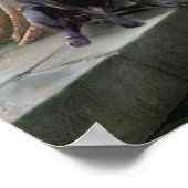 Poster Labrador 4 (noir) - L'Accolade (Coin)