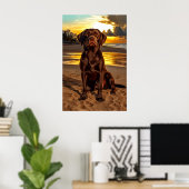 Poster Labrador au chocolat au coucher du soleil (Bureau à domicile)
