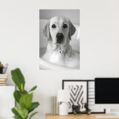 Poster Labrador Bubble Bath Print, Funny Dog Bathroom Art (Bureau à domicile)