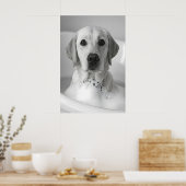 Poster Labrador Bubble Bath Print, Funny Dog Bathroom Art (Cuisine)