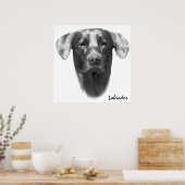 Poster Labrador Chien classique (Cuisine)