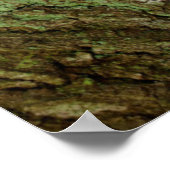 Poster Labrador Chiot Assis Dans Un Cadre De Bois (Coin)