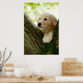 Poster Labrador Chiot Assis Dans Un Cadre De Bois (Cuisine)
